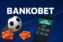 Bankobet Sadakat Puanları Kazanma Yolları